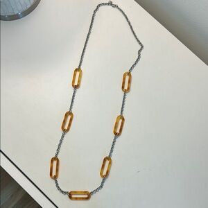 Ann Taylor Silver Tortoise Shell Link Long Necklace